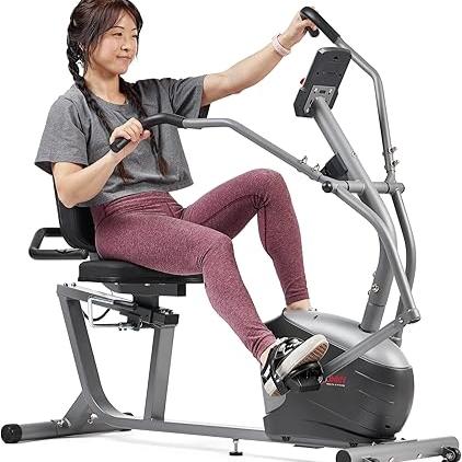 Sunny Health Recumbent Bike w/ Arm Exercisers  |  168